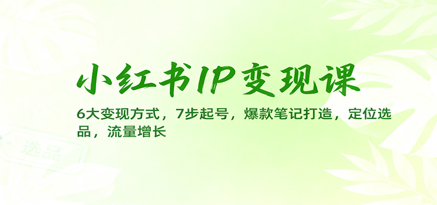 小红书IP变现课：6大变现方式，7步起号，爆款笔记打造，定位选品，流量增长502首码项目网-最新首码项目发布平台-零投资首码项目-工作流-首码项目赚钱-首码项目-首码项目-推广资源源码-学科资源-全网最全最新项目502首码项目网