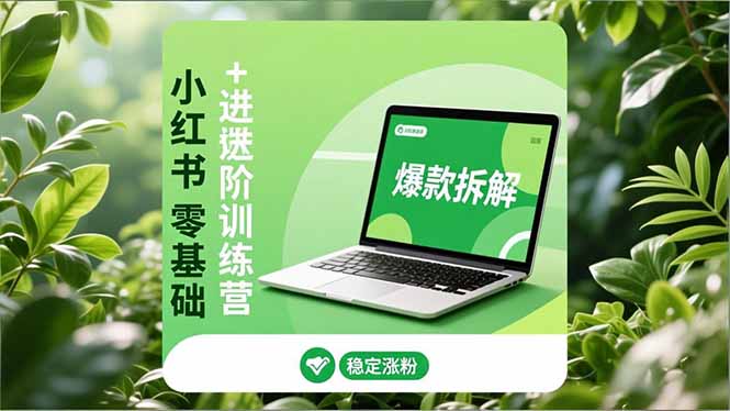 小红书零基础+高阶训练营：安全养号、爆款拆解、长效运营，实现稳定涨粉与变现502首码项目网-最新首码项目发布平台-零投资首码项目-工作流-首码项目赚钱-首码项目-首码项目-推广资源源码-学科资源-全网最全最新项目502首码项目网