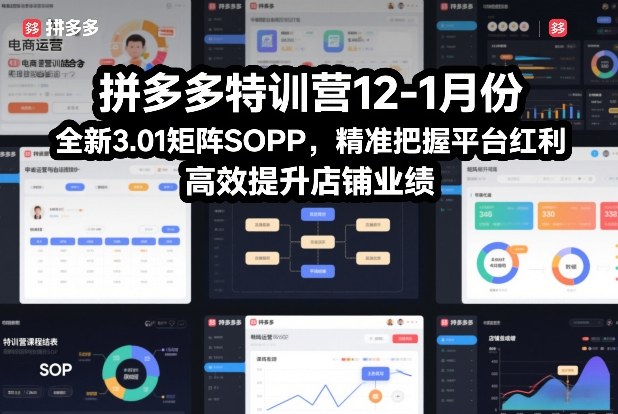 拼多多特训营12-1月份,全新3.01矩阵Sop,精准把握平台红利,高效提升店铺业绩502首码项目网-最新首码项目发布平台-零投资首码项目-工作流-首码项目赚钱-首码项目-首码项目-推广资源源码-学科资源-全网最全最新项目502首码项目网