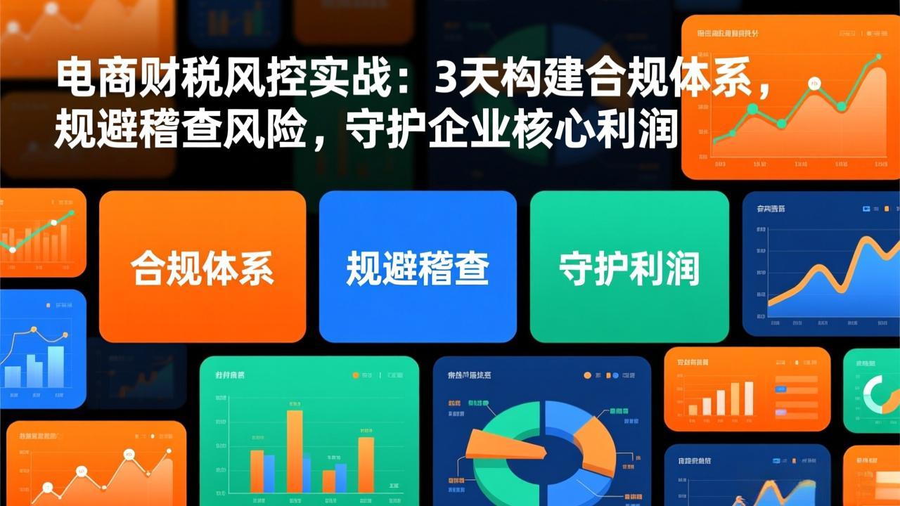 电商财税风控实战:3天构建合规体系,规避稽查风险,守护企业核心利润502首码项目网-最新首码项目发布平台-零投资首码项目-工作流-首码项目赚钱-首码项目-首码项目-推广资源源码-学科资源-全网最全最新项目502首码项目网